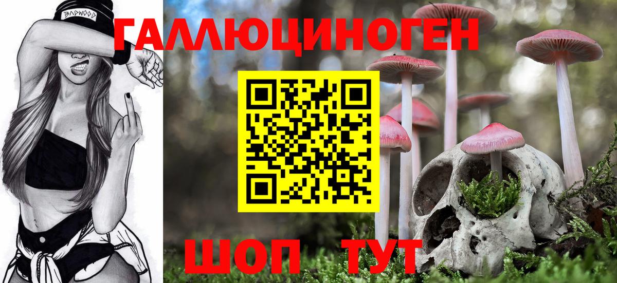 Псилоцибиновые грибы Psilocybe Татарск