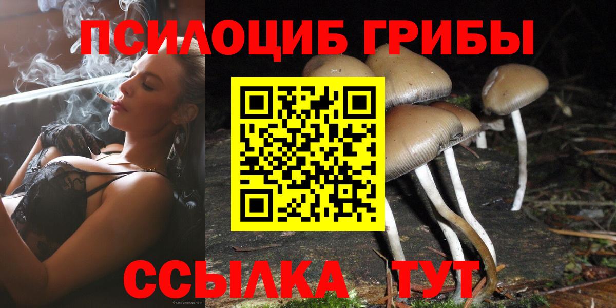 Татарск  купить   Вход с VPN  Галлюциногенные грибы Magic Shrooms 